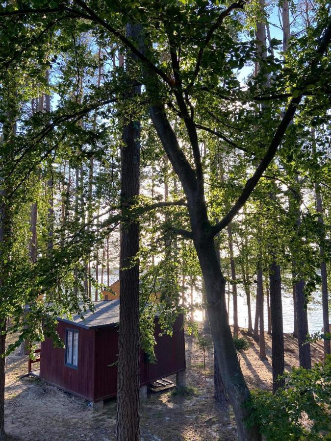Instytut Wypoczynku - Domki Nad Jeziorem Mausz Sulęczyno Exterior foto