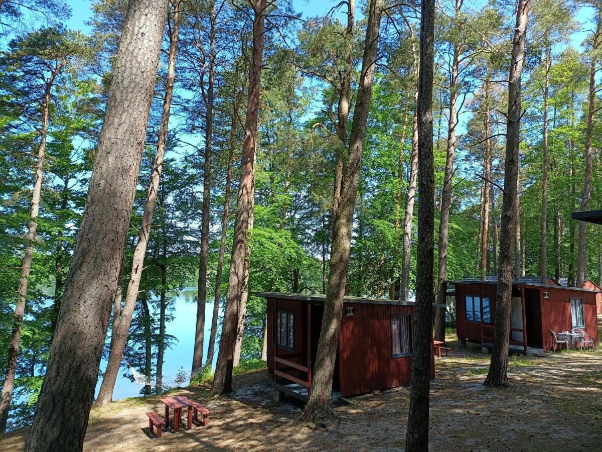 Instytut Wypoczynku - Domki Nad Jeziorem Mausz Sulęczyno Exterior foto